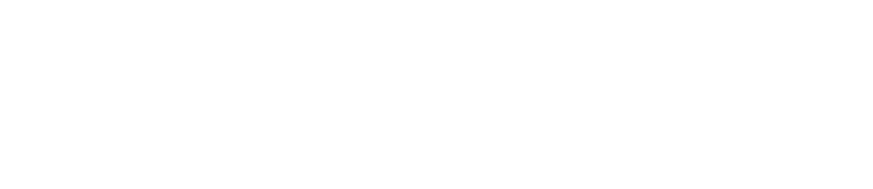 switchplace logo_white